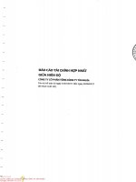 Bao Cao tai chinh hop nhat giua nien do