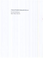 HAG – BCTC tong hop da kiem toan 2015