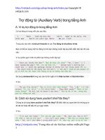 tro dong tu trong tieng anh