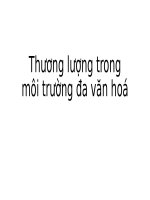 Thương lượng trong môi trường đa văn hoá