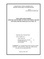 SKKN kiểm tra chuyên hiệu ATGT bằng phương pháp quan sát thực tế