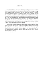 Chương trình quảng cáo marketing của Omo