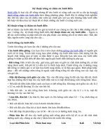 Kỹ thuật trồng và chăm sóc bưởi diễn