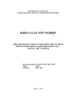 THEO DÕI KẾT QUẢ MỔ LẤY THAI TRÊN CHÓ TẠI TRẠM PHÒNG CHỐNG DỊCH VÀ KIỂM DỊCH ĐỘNG VẬT – CHI CỤC THÚ Y TP.HCM