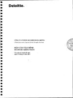 bao cao tai chinh da kiem toan nam 201409 08 2017 04 12 05
