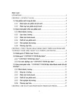 THỰC TRẠNG PHÁT TRIỂN SẢN PHẨM"CONNECT TOUR ĐỘC THÂN" THIÊN LÂM TRAVEL