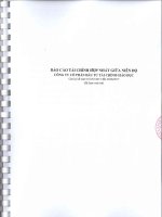 Bao cao hop nhat ban nien 2017