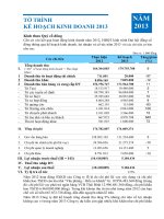 To trinh thong qua ke hoach kinh doanh 2013(1)