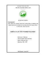 Thực hiện quy trình chăm sóc nuôi dưỡng và phòng trị bệnh cho đàn lợn nái sinh sản tại trại Nguyễn Ngọc Hùng  Lương Sơn  Thái Nguyên. (Khóa luận tốt nghiệp)