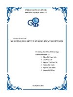 XU HƯỚNG THU HÚT VÀ SỬ DỤNG TNCs MNCs TẠI VIỆT NAM 2016 2017