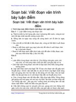 viet doan van trinh bay luan diem