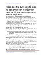 su dung yeu to mieu ta trong van ban thuyet minh