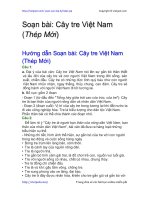 Soạn bài: Cây tre Việt Nam (Thép Mới) | Soạn văn 6 hay nhất tại VietJack PDF cay tre viet nam