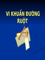 VI KHUẨN ĐƯỜNG RUỘT