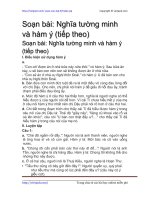 nghia tuong minh va ham y tiep theo