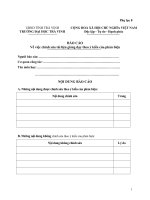 PHU LUC 8   BAO CAO CHINH SUA THEO PHAN BIEN