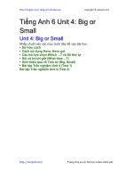 Unit 4 lớp 6: Big or Small | Giải bài tập Tiếng Anh 6 hay nhất tại VietJack PDF unit 4 big or small