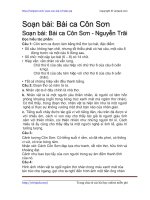 Soạn bài: Bài ca Côn Sơn | Soạn văn 7 hay nhất tại VietJack PDF bai ca con son