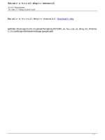 Báo cáo về sở hữu của Cổ đông lớn : America LLC bcvshcpccdl