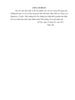 Khảo sát đánh giá thực trạng cơ cấu tổ chức bộ máy của cơ quan Công ty tự động hoá  Cơ khí  Môi truờng Sơn Trà