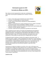 Form for Signing the CEO Statement of Support PORT