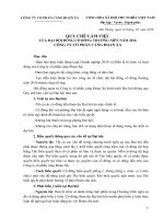 Các Quy chế đại Đại hội đồng cổ đông thường niên năm 2016 Quy che lam viec