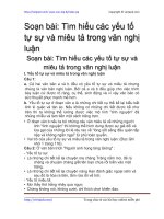 tim hieu cac yeu to tu su va mieu ta trong van nghi luan
