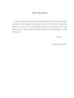 Một số dạng luật số lớn cho dãy và mảng các biến ngẫu nhiên trong không gian tổ hợp lồi (Luận án tiến sĩ)