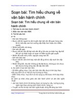 tim hieu chung ve van ban hanh chinh