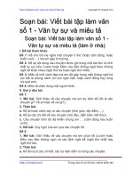 viet bai tap lam van so 1 van tu su va mieu ta