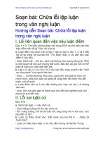 chua loi lap luan trong van nghi luan