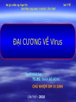 ĐẠI CƯƠNG VỀ VIUS, ĐẠI HỌC Y DƯỢC CẦN THƠ