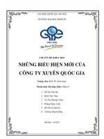 NGHIÊN CỨU KHOA HỌC NHỮNG BIỂU HIỆN MỚI CỦA CÔNG TY XUYÊN QUỐC GIA 2016 2017