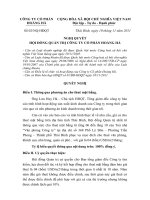 HĐQT: Thông qua phương án cho thuê mặt bằng nghi quyet HDQT