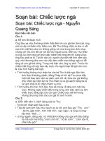 Soạn bài: Chiếc lược ngà | Soạn văn 9 hay nhất tại VietJack PDF chiec luoc nga