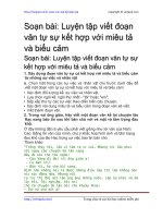 luyen tap viet doan van tu su ket hop voi mieu ta va bieu cam