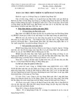 DX Du thao bao cao cua BKS tai DHCD 2013