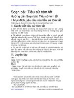 Soạn bài: Tiểu sử tóm tắt | Soạn văn 11 hay nhất tại VietJack PDF tieu su tom tat