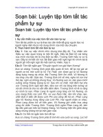 luyen tap tom tat tac pham tu su