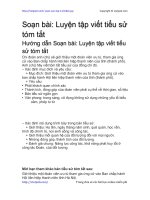 luyen tap viet tieu su tom tat