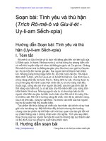 Soạn bài: Tình yêu và thù hận | Soạn văn 11 hay nhất tại VietJack PDF tinh yeu va thu han