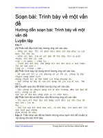 trinh bay mot van de