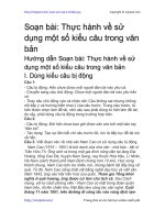 thuc hanh ve su dung mot so kieu cau trong van ban