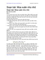 Soạn bài: Mùa xuân nho nhỏ | Soạn văn 9 hay nhất tại VietJack PDF mua xuan nho nho