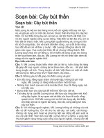 Soạn bài: Cây bút thần | Soạn văn 6 hay nhất tại VietJack PDF cay but than