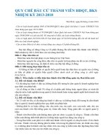 Quy chế tổ chức, nguyên tắc thể lệ biểu quyết và Quy chế bầu TV HĐQT, BKS 2013