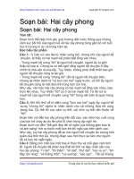 Soạn bài: Hai cây phong | Soạn văn 8 hay nhất tại VietJack PDF hai cay phong