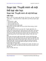 thuyet minh ve mot the loai van hoc