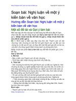 nghi luan ve mot y kien ban ve van hoc