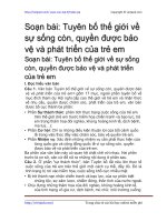 tuyen bo the gioi ve su song con quyen duoc bao ve va phat trien cua tre em
